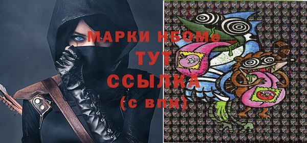 стафф Гусев