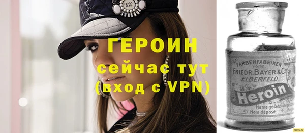 стафф Гусев