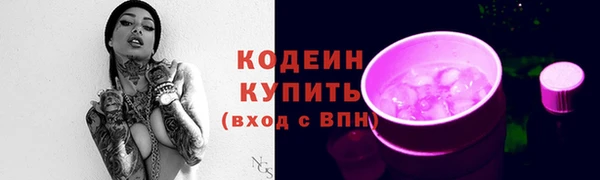 стафф Гусев