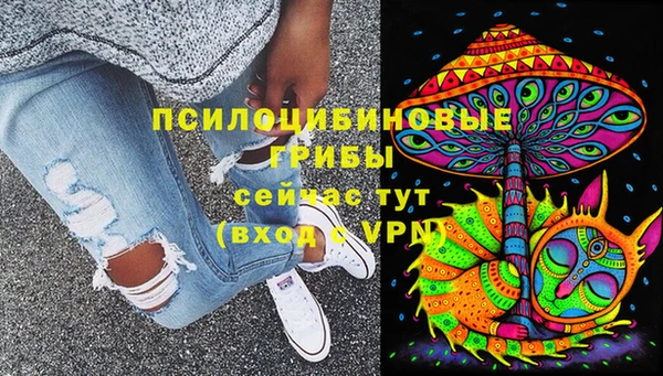 герыч Гусь-Хрустальный