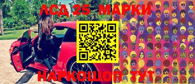 индика Аргун