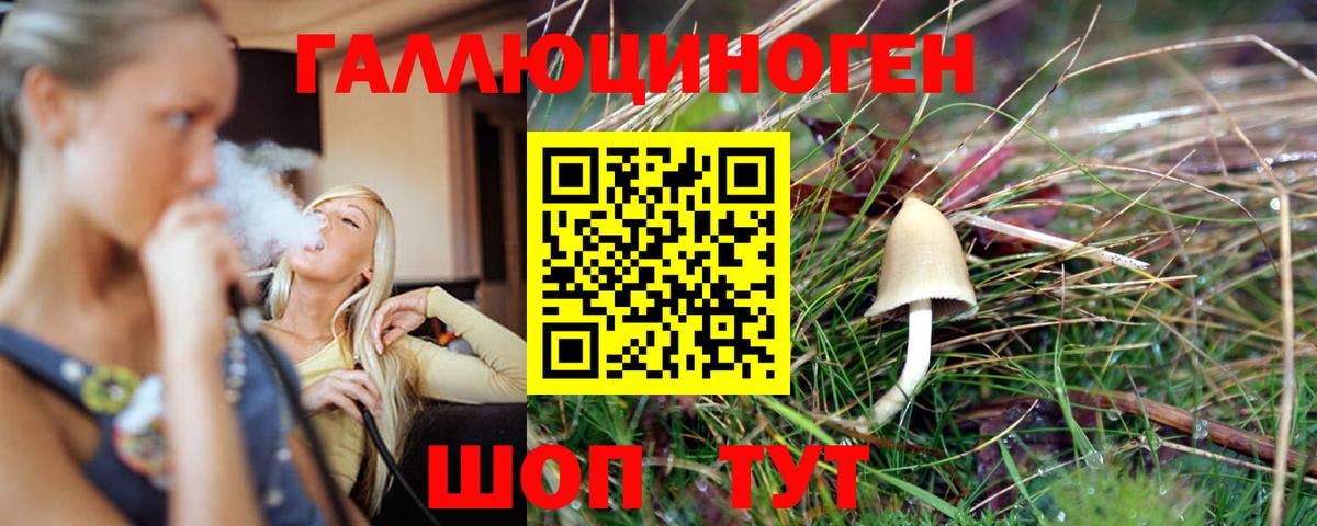 Березники  Псилоцибиновые грибы Cubensis  Вход с VPN 
