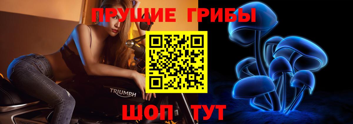 Псилоцибиновые грибы MAGIC MUSHROOMS  Березники 